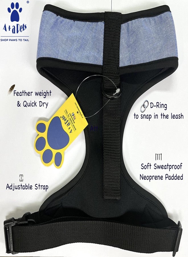A+a Pets طقم حزام ومقود باتاكا من A+a Pets، مقاس كبير - Image 5